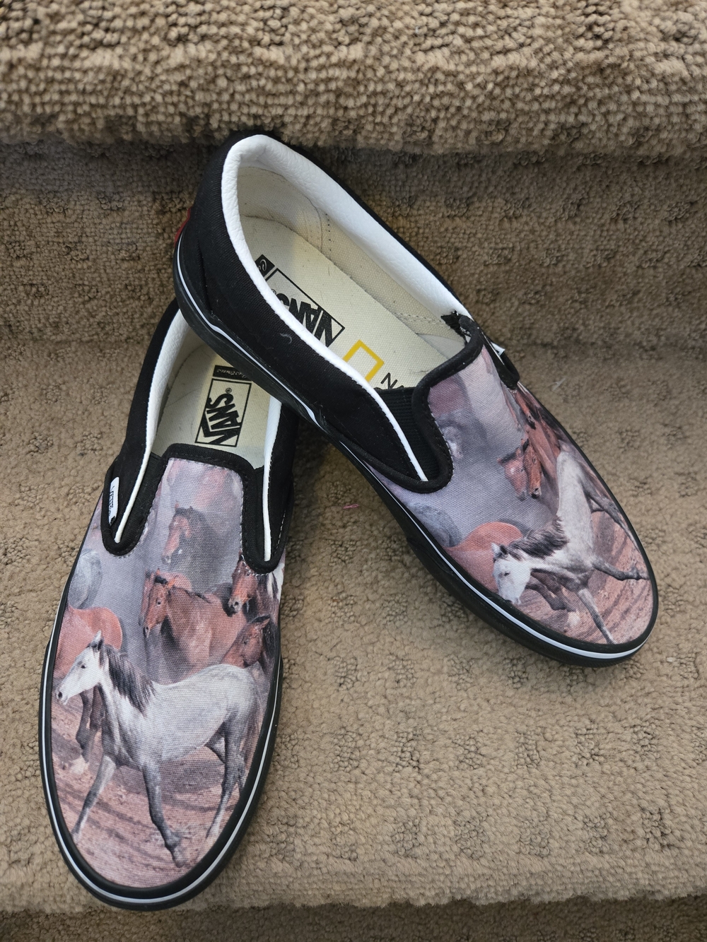 Vans Black Canvas Slip-On with Horse Print